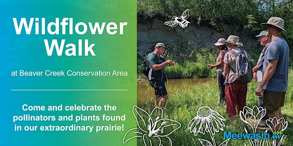 Wildflower Walks