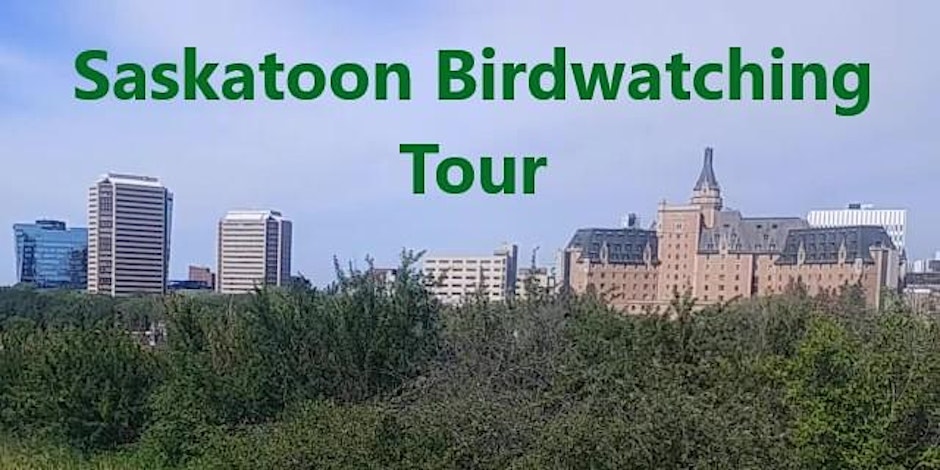 Saskatoon Birdwatching Tour